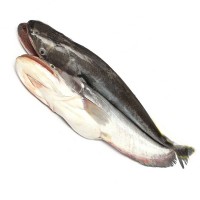 Boal fish( নদীর বোয়াল  মাছ) 900tk/kg (2-3 Kg)
