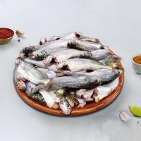 Tengra Fish 8-12pics/kg (টেংরা মাছ 8-12 পিচ/Kg )